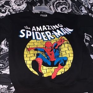 a marvels “The Amazing Spider Man” sweatshirt